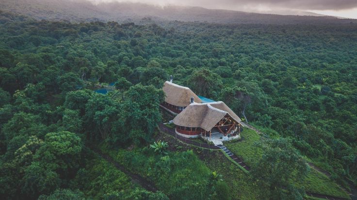 The aerial view of Virunga National Park.