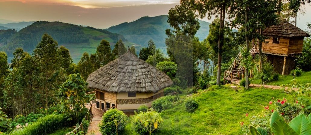 The Best Lodges for Gorilla Safaris in the Ruhija Sector of Bwindi