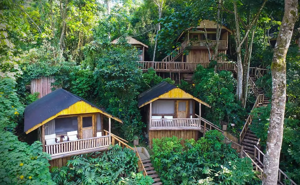 The Best Lodges for Gorilla Safaris in the Ruhija Sector of Bwindi